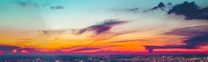 焦作茶虫网_焦作品茶